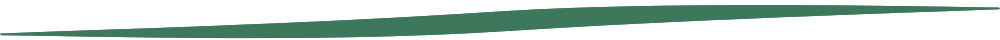 Separator 01
